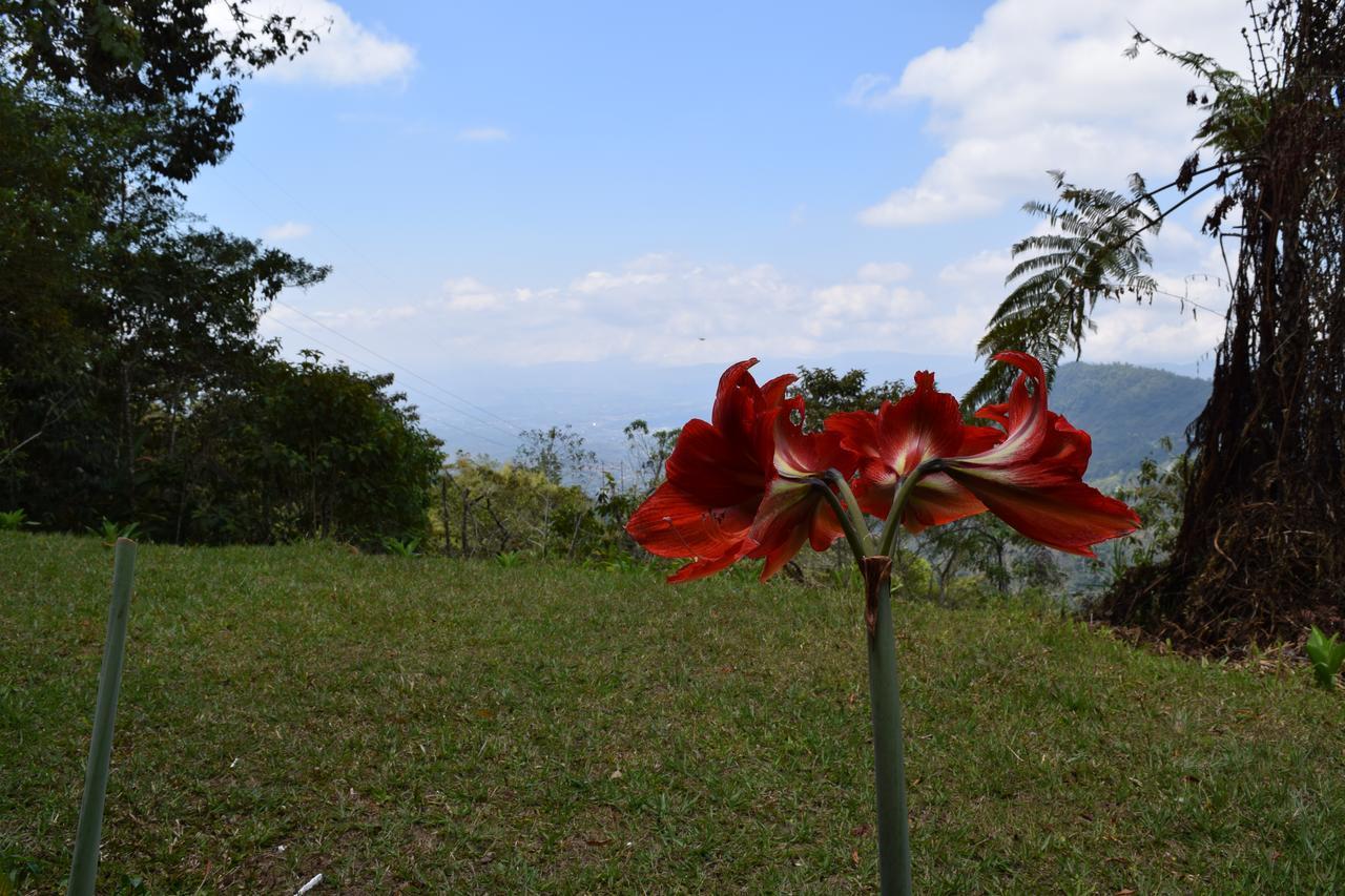 Mirador Valle Del General La Ese Dış mekan fotoğraf