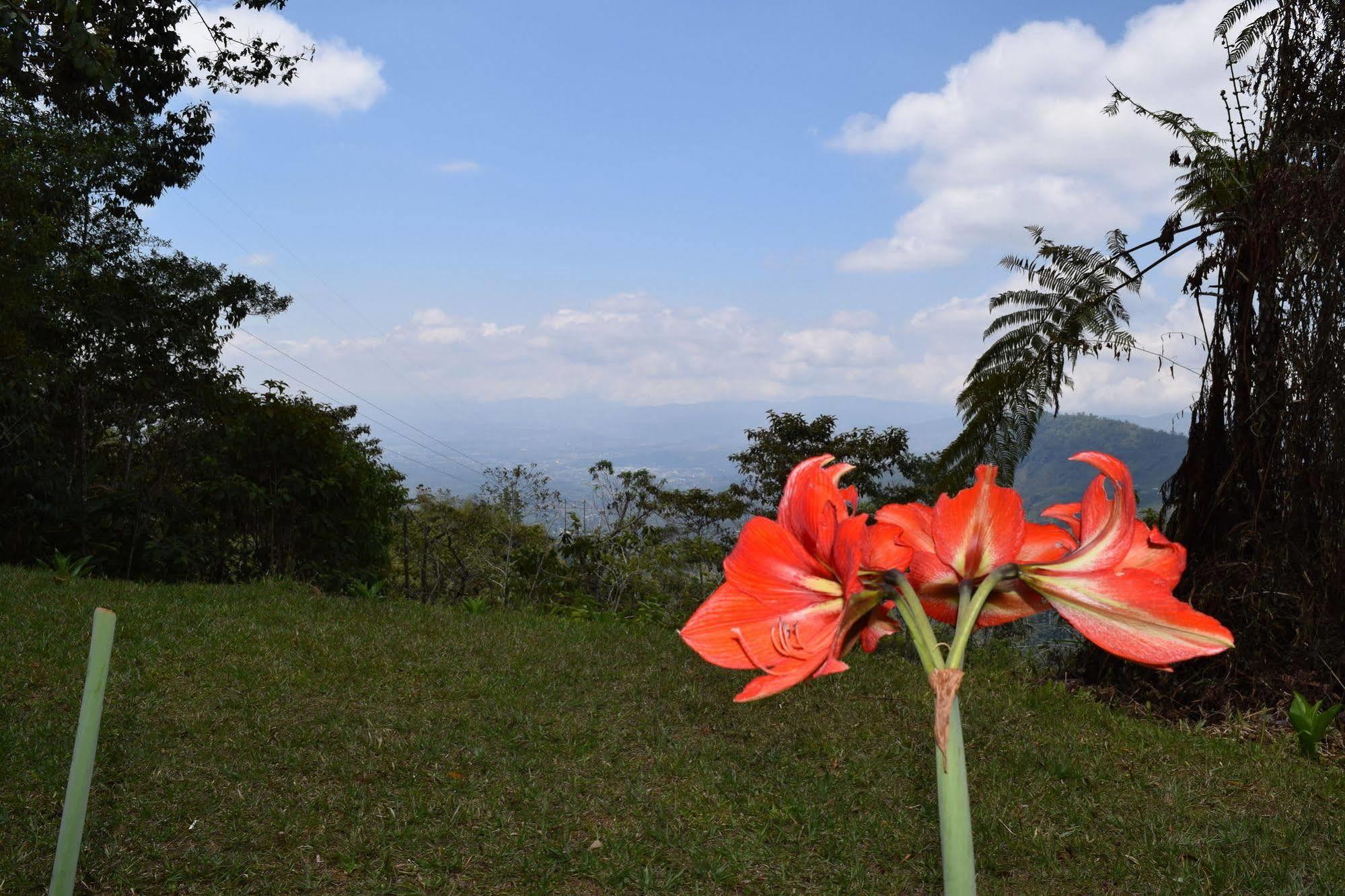 Mirador Valle Del General La Ese Dış mekan fotoğraf